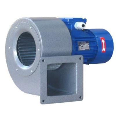 UTENTRA-3.jpg