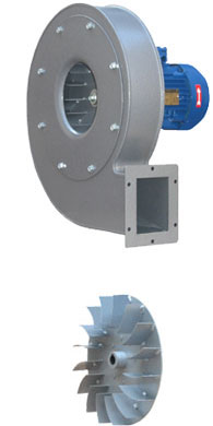 UTENTRA-1.jpg