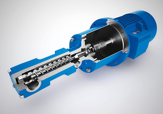 BS348_BrinkmannPumps.jpg